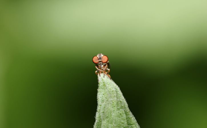 苹果账号怎么不共享数据