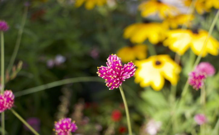 苹果12现在价格多少 苹果12现在市场价多少钱一台